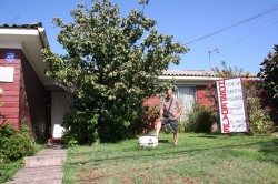 Bilder Chile 2013 14 692 (Kopie)
